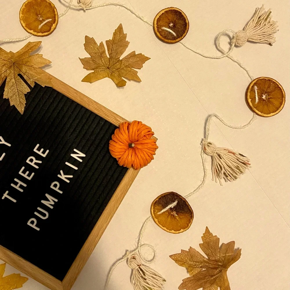 Handmade Dry Orange and Tassel Garland